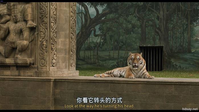 少年派奇幻漂流国语下载_少年派的奇幻漂流 李安 电影 获奖记录