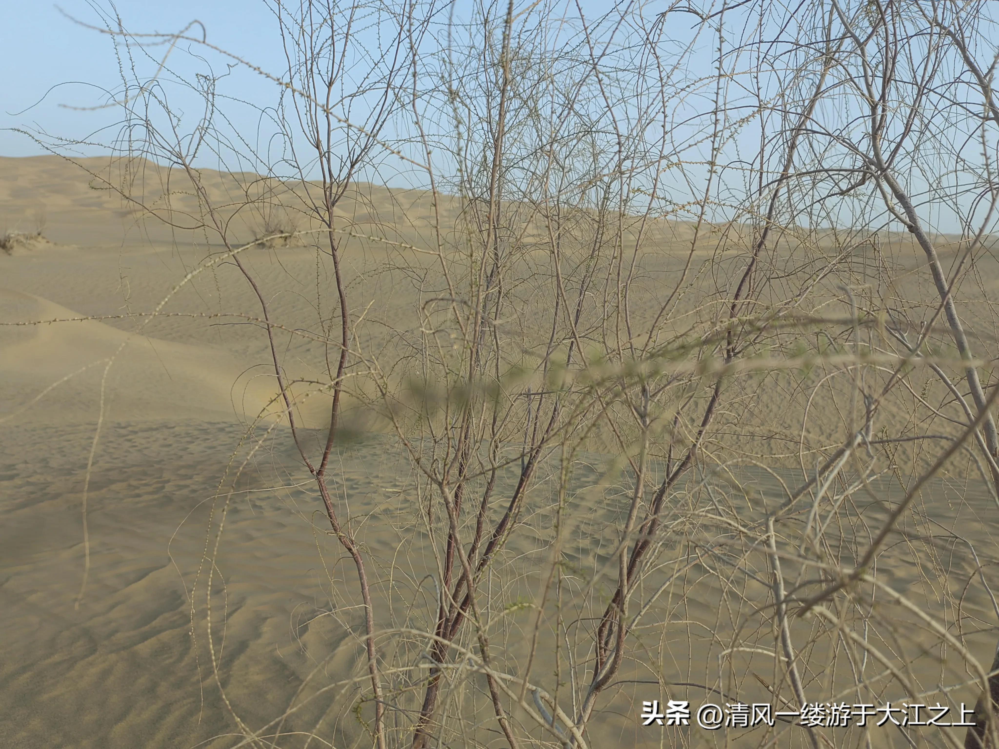 华侨城股价长期低于净资产_华侨城年报 下载_华侨城2022年年报分析