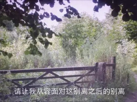 由有声小说演播者:布兰德朗诵的诗：《雨中的了悟》