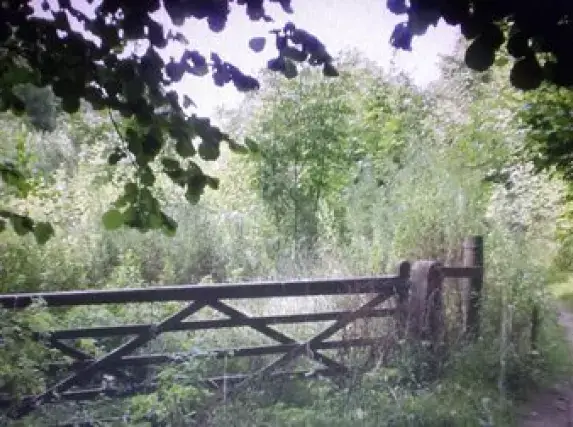 有声小说演播者布兰德朗诵：《雨中的了悟 》