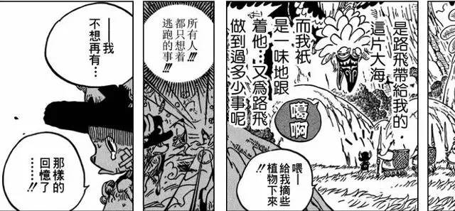 海贼王伙伴守护_海贼王同伴觉悟_海贼王全集下载