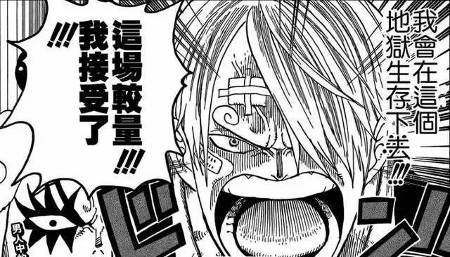 海贼王同伴觉悟_海贼王全集下载_海贼王伙伴守护